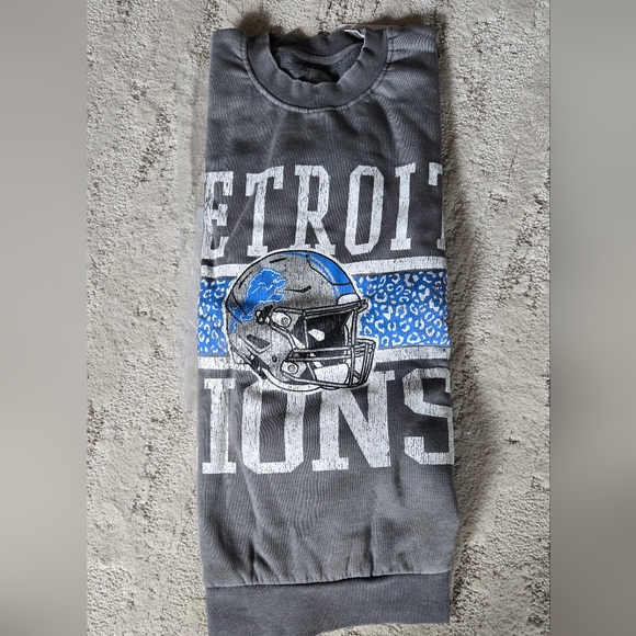 NWT, Gray Detroit Lions Sweatshirt,Sz M - Picture 1 of 4